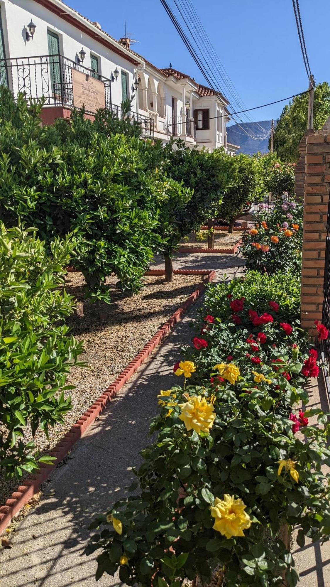 La Canota 2-Floors King Rooms Adults Only Talara Extérieur photo